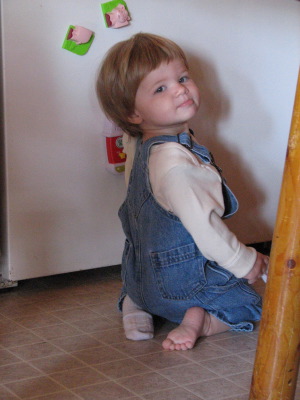 Travel-tips: Fridge Farm