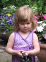 Trowel