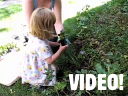 Gardening moments Gardening moments