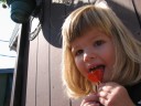 Orange lollipop