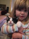 Lucy want to hold the kitty!
