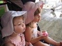 Attentive