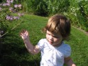 Summer memories