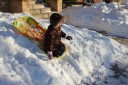 Lucy on her sled.