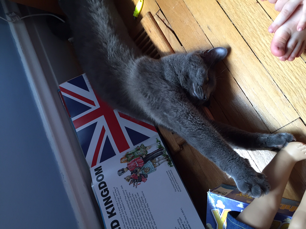 Pepper learns about the Union Jack.