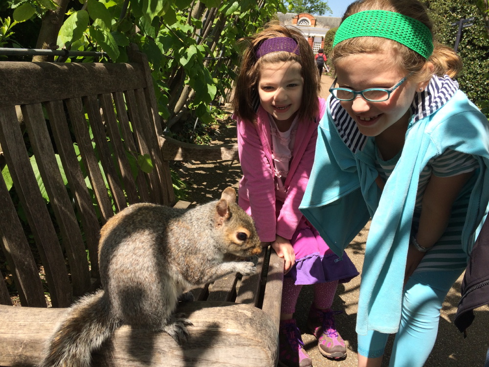 Meeting a squirrel in the Palace Gardens.