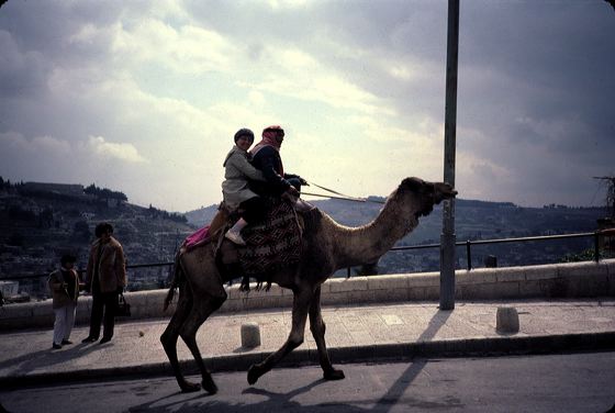 1985-israel-0099.jpg